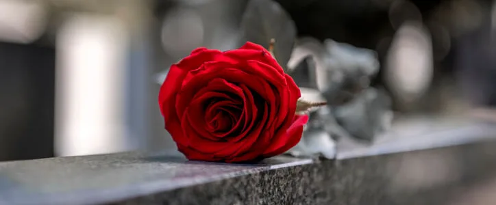 Flower on memorial stone close up
